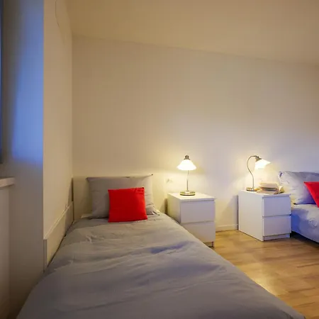 Rose Gialla Firsia Garten Eg