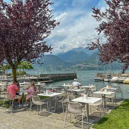 Rose Gialla Firsia Garten Eg Apartment Colico