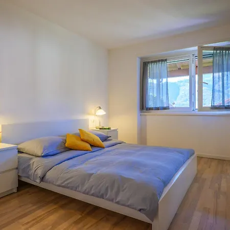 Rose Gialla Firsia Garten Eg *