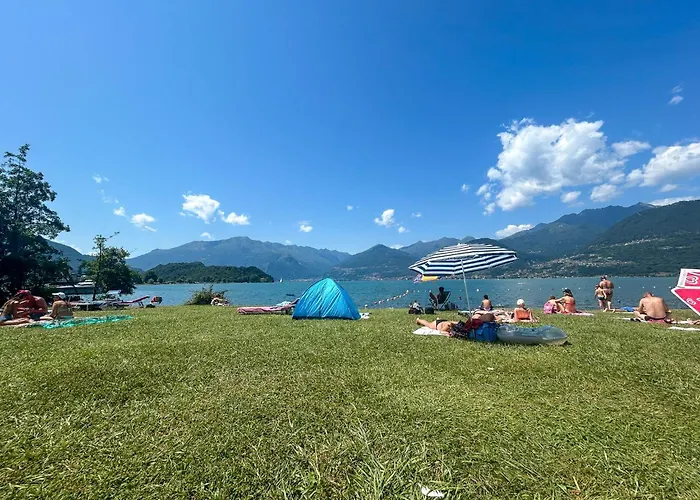 Rose Gialla Firsia Garten Eg Колико