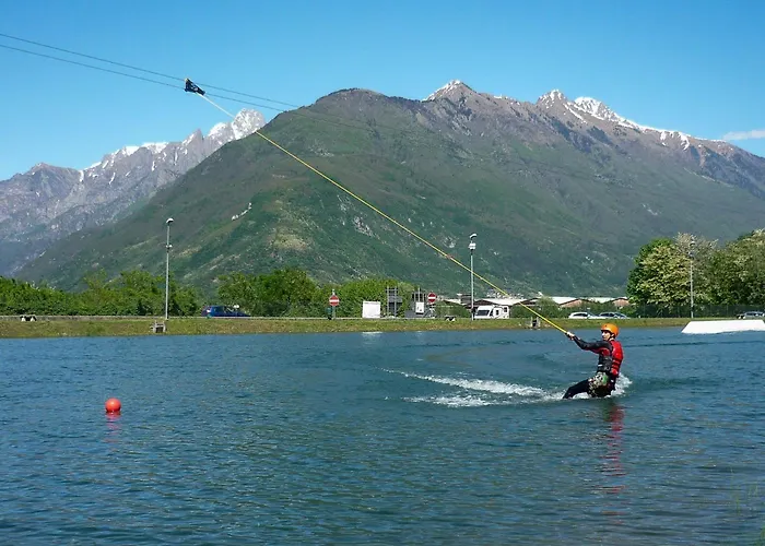 Rose Gialla Firsia Garten Eg Колико