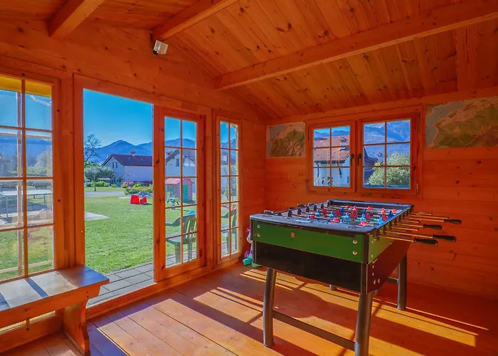 Rose Gialla Firsia Garten Eg