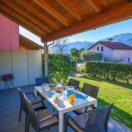 Rose Gialla Firsia Garten Eg *