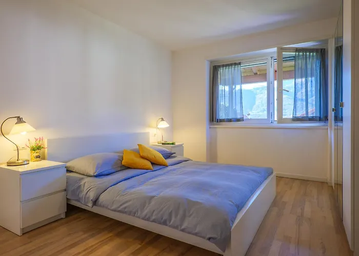 Rose Gialla Firsia Garten Eg *