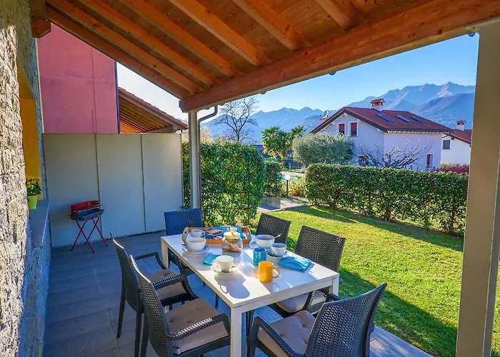 Rose Gialla Firsia Garten Eg *