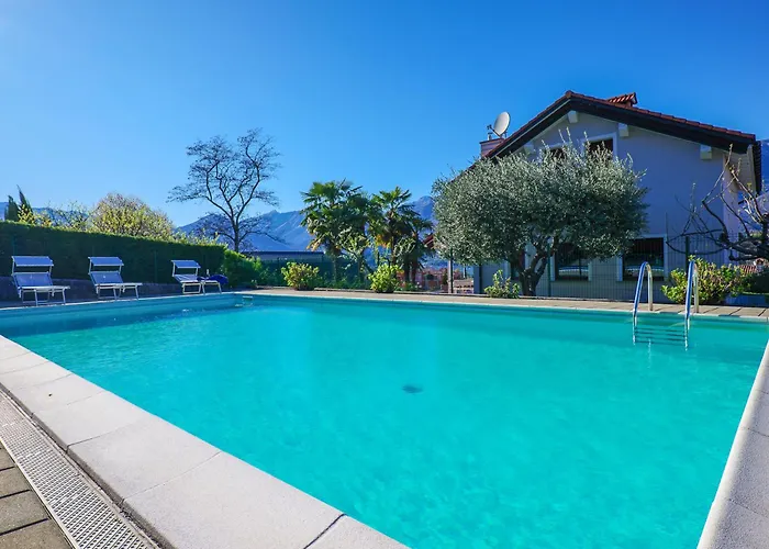 Rose Gialla Firsia Garten Eg Apartment